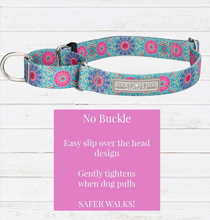 Lucky Love Dog Martingale Dog Collar - Adjustable, No-Slip, Durable, & Soft Webbing Collar for Male and Female Dogs Ideal for Training & Walking - Clara, Medium