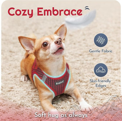 Eagloo Small Dog Harness and Leash Set, Step in Puppy Vest with Breathable Soft Mesh, Walking Reflective Pet Harness for Small Dogs, Red, S