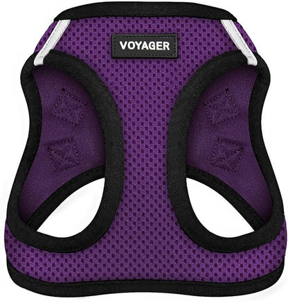 Best Pet Supplies Voyager Step-in Air Harness - All Weather Mesh, Reflective, No Pull Harness for Dogs, Cats - Secure with Hook & Loop Fastener, Buckle, Double D-Rings - Purple/Black Trim, S