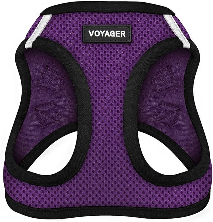 Best Pet Supplies - All Weather Mesh/Plush, Reflective, No Pull Harness for Small, Medium Dogs, Cats - Secure with Hook & Loop Fastener, Buckle, Double D-Rings - Purple/Black Trim, S