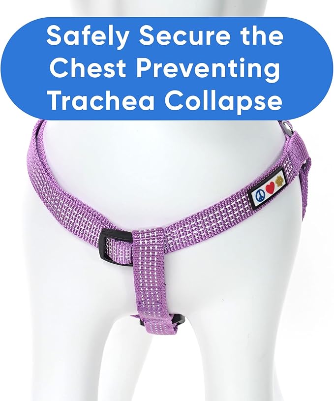 Pawtitas Reflective Step-in Dog Harness – Adjustable No-Pull Vest for Puppies to Seniors, Safe & Comfortable, M Orchid