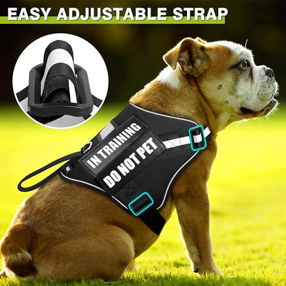 Service Dog Harness and Leash Set, Training Dog Vest with 10 Dog Patches, Emotional Support Therapy Dog Vest Harness for Small Medium Large and Extra Large Dogs(Black, S)