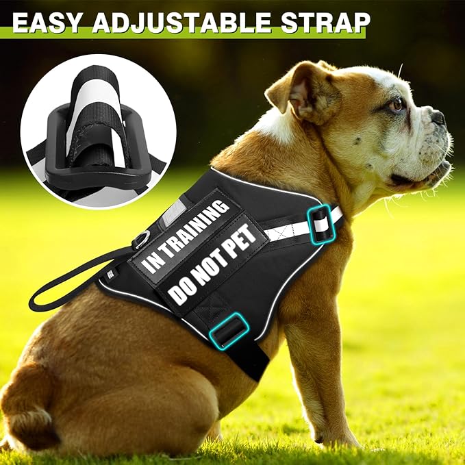 Service Dog Harness and Leash Set, Training Dog Vest with 10 Dog Patches, Emotional Support Therapy Dog Vest Harness for Small Medium Large and Extra Large Dogs(Black, XS)