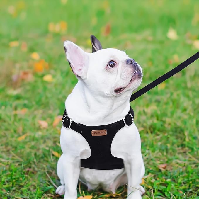 Dog Harness and Leash Set, XXS No Pull Adjustable Puppy Harness with Multifunction Pink Dog Leash and Dog Collar, Soft No Choke Escape Proof Pet Harness Vest for Small Dogs and Cats (Black, XXS)