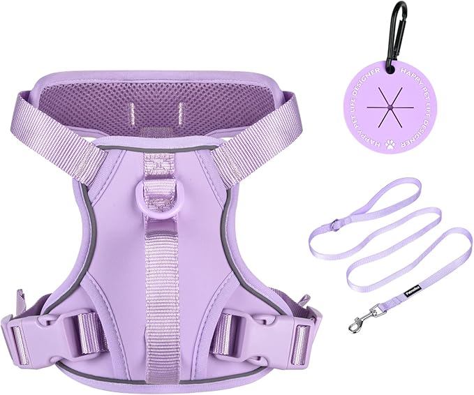 Petmolico Dog Harness for Small Dogs, Cute Harness Vest with Two Leash Clips and Soft Handle, Reflective Easy Walk Puppy Vest - Light Purple, Medium