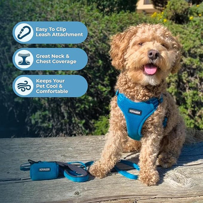 Best Pet Supplies Voyager Adjustable Step-in Flex Breathable Mesh Dog Harness for Small Medium Large Dogs Leash Set (Turquoise), L