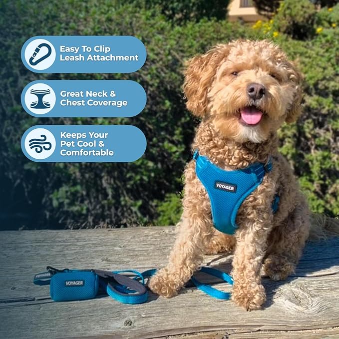 Best Pet Supplies Voyager Adjustable Step-in Flex Breathable Mesh Dog Harness for Small Medium Large Dogs Leash Set (Turquoise), XL