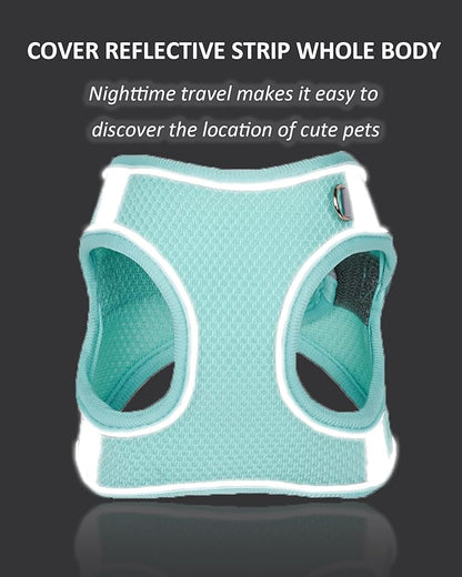 Solmoony Dog Harness for Small Medium Dogs No Pull, Puppy Harness and Leash Set, Puppy Harness, Step in Harness for Small Dogs,mesh Dog Harness. (Black, M)