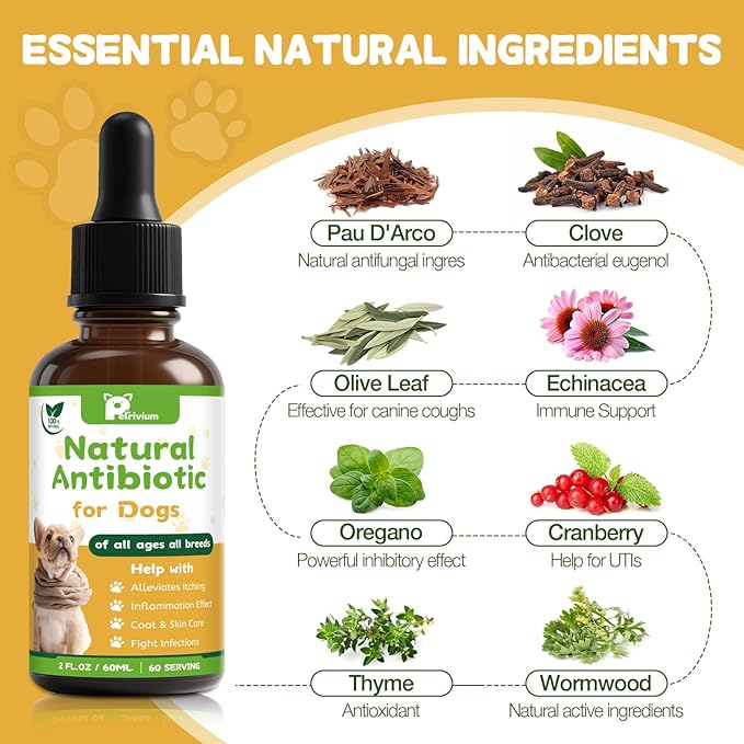 Dogs Antibiotics for Infection Coughs, UTIs, Allergies, Itching - Natural Antibiotics Supplement Drops for Cats to Support Digestion and Urination | Skin & Coat | All Breeds & Ages | 2 Oz