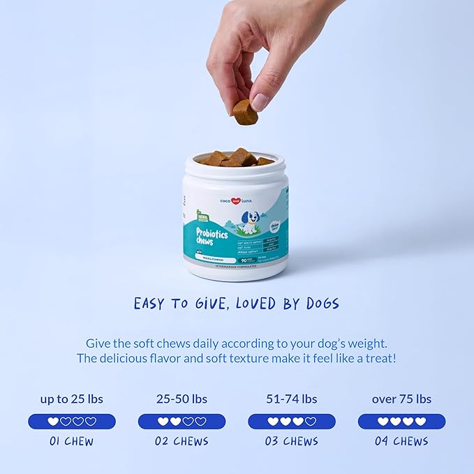 Probiotics for Dogs – Digestive & Diarrhea Support – 90 Soft Chews – Vet Formulated – Gut Health & Immune Support