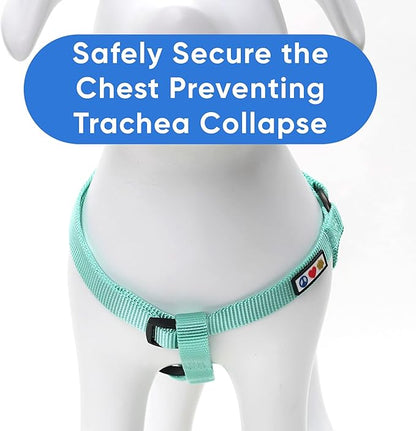 Pawtitas Solid Step-in Dog Harness – Adjustable No-Pull Vest for Puppies to Seniors, Safe & Comfortable M Teal
