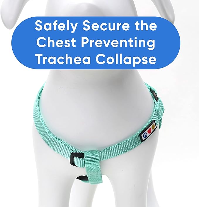 Pawtitas Solid Step-in Dog Harness – Adjustable No-Pull Vest for Puppies to Seniors, Safe & Comfortable S Teal