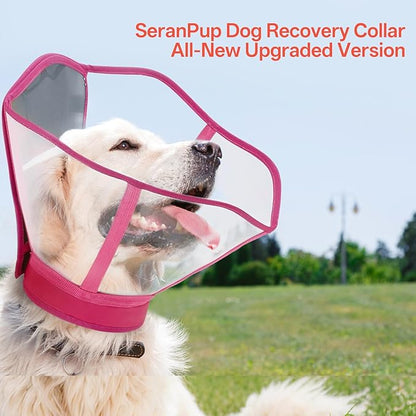 Foldable Dog Cone Collar - Adjustable Comfort Elizabethan Recovery Collar, Transparent Waterproof E-Collar for Dogs After Surgery to Stop Licking Scratching, Rose Red, M
