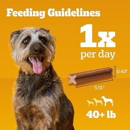 Pedigree Dentastix Dog Dental Treats, Large Breed Dog Treats, Beef Flavor, 1.67 lb. Bag (32 Treats Total)