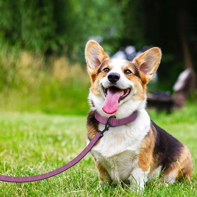 Didog Soft Padded Leather Dog Collar and Leash Set, Adjustable Dog Lead and Collar Set with Metal Buckle, Breathable Pet Collars with 4FT PU Leather Leash for Small Medium Dogs, Purple, M