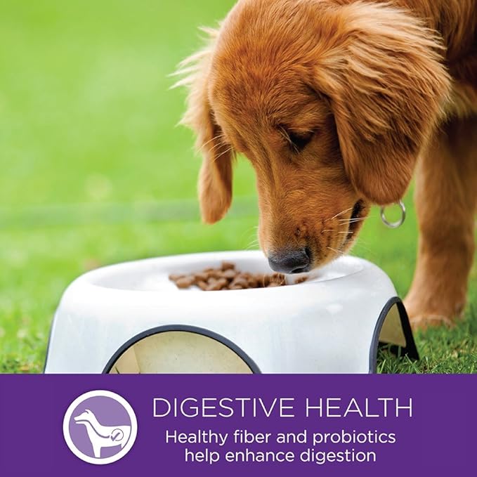 Wellness Complete Health Small Breed Adult Dry Dog Food, Wholesome Grain Kibble, Natural, Turkey and Oatmeal Recipe, 4 lb Bag