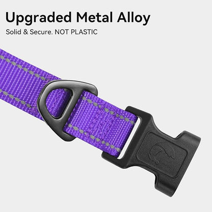 Joytale Reflective Dog Collar,Soft Neoprene Padded Breathable Nylon Pet Collar Adjustable for Small Dogs,Purple,S