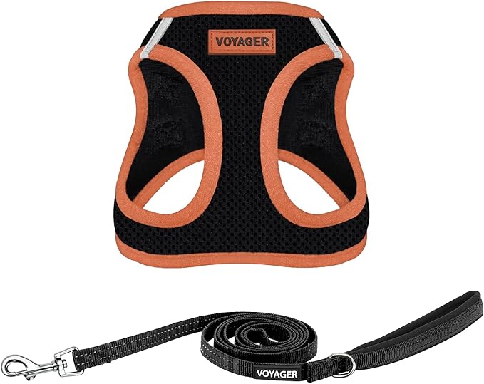 Best Pet Supplies Voyager Step-in Air All Weather Mesh Harness and Reflective Dog 5ft Leash Combo with Neoprene Handle, for Small, Medium and Large Breed Puppies - Set (Black/Orange Trim), X-Large