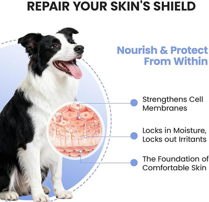 Dog Allergy Skin Relief Chews for Hotspot & Dry Skin, Itchy Skin Relief Supplement for Dog Paw Licking, Anti-Itch Soft Chews with Colostrum-Fish Oil-Probiotic to Boost Immune System 180ct