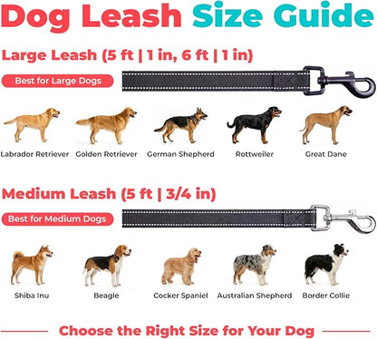 Best Pet Supplies Voyager Reflective Dog Leash or Collar with Neoprene Handle, for Small, Medium, and Large Breed Puppies, Cute and Heavy Duty for Walking, Running and Training - Black (Leash), L