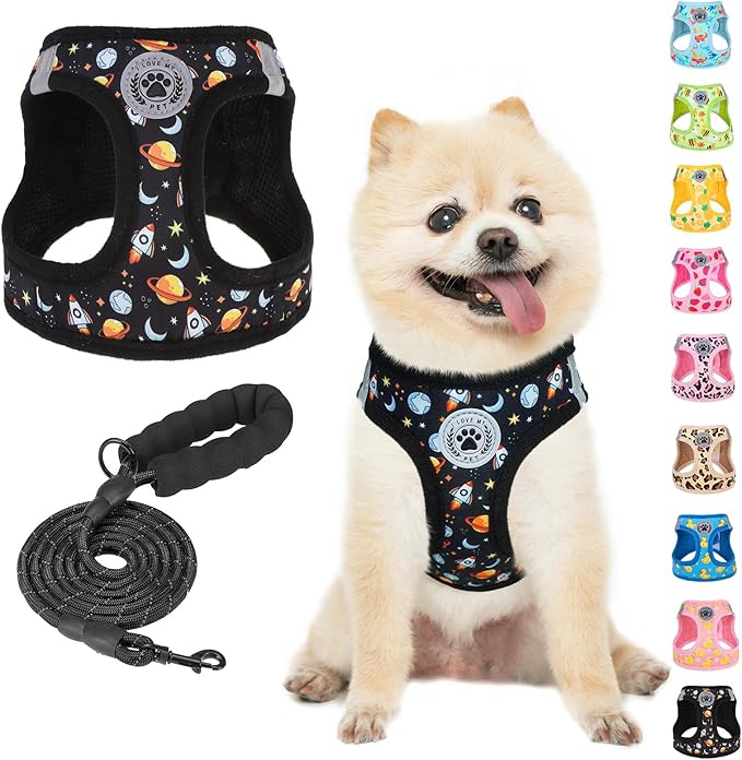 BEAUTYZOO Dog Harness Small Sized and Leash Set, Step-in Soft Padded Mesh Puppy Vest, Reflective Dog Harness No Pull No Choke, Breathable Easy Walking Vest Harnesses for Girl Boy Pets, Black Planet XS