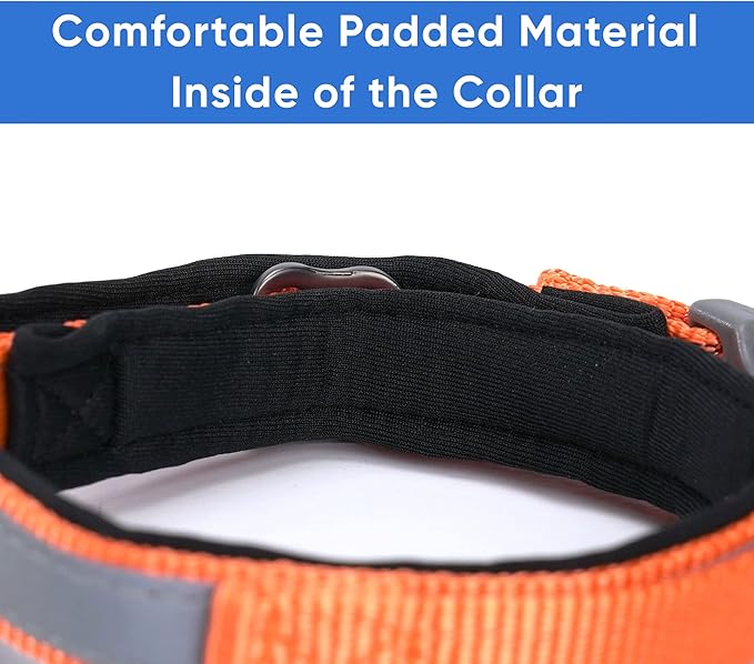 Pawtitas Lumberjack Padded Martingale Collar for Dogs | Soft Neoprene Dog Collar for Your pet's Comfort Made with Reflective Band for Maximum Visibility | Fits Small and Large Pets - Medium Orange