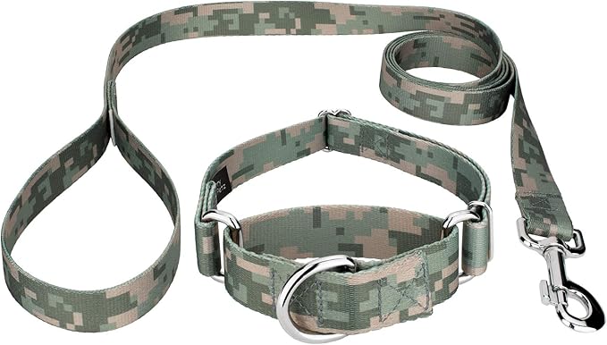 Country Brook Petz - Digital Camo Martingale Dog Collar and Leash Limited Edition - Camouflage Collection Featuring Rugged Designs (1/2 Inch, Extra Small)
