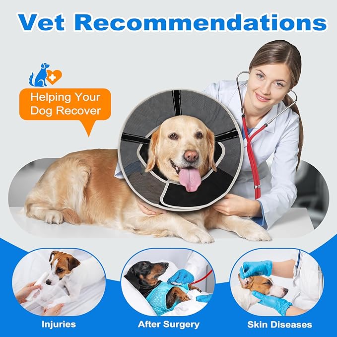 Breathable Mesh Dog Cone Collar with Soft Liner for Surgery, Elizabethan Recovery Alternative to Stop Licking,Pet Neck Collar for Large Medium Small Breeds(Matte Black,2)