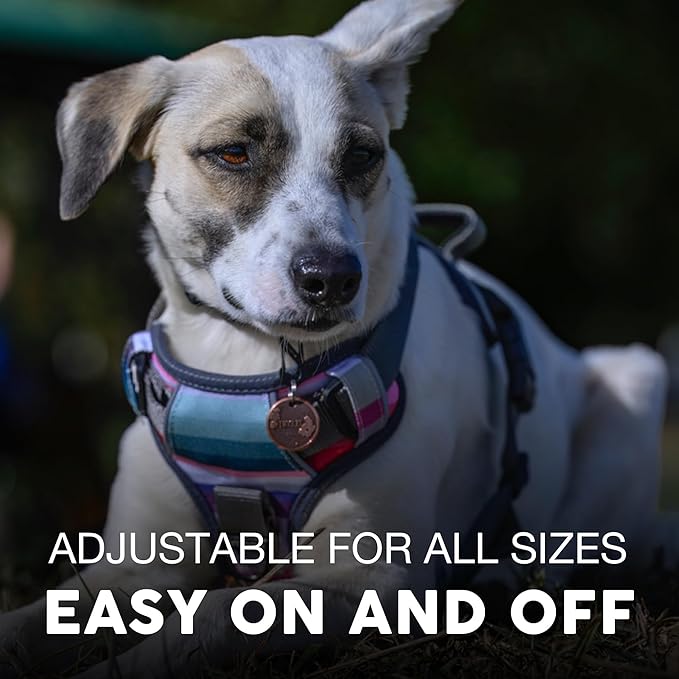 Embark Adventure Dog Harness for Small, Medium & Large Dogs – No Pull, Reflective Trim, Heavy Duty Oxford, 2 Leash Clips, Gel-Lined Handle, Soft Padded