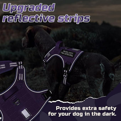 rabbitgoo Tactical Dog Harness for Large Dogs, No Pull Military Service Vest with Handle & Molle, Easy Control for Training Walking, Adjustable Reflective Straps, Purple, L