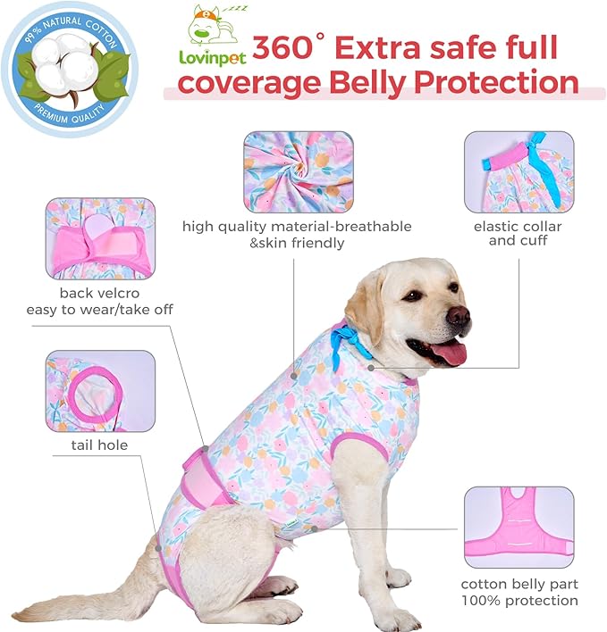 LovinPet Dog Surgical Recovery Suit Male - After Surgery Onesie for Dogs Female & Male Anti-Licking Protection Full Body Coverage for Anti-Shedding