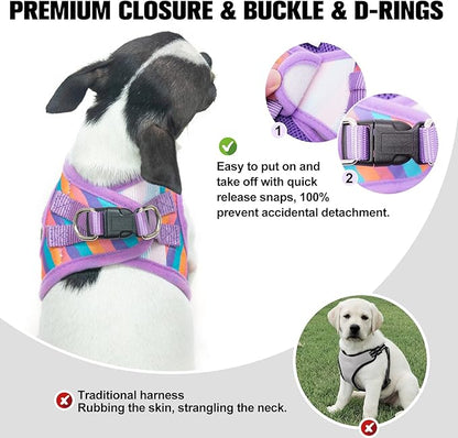 BEAUTYZOO Dog Harness and Leash Set for Small Dogs,No Pull Step-in Harness for Puppy XS S Sized Dogs and Cats,Air Mesh Adjustable Breathable Soft No Choke Escape Proof Vest Harnesses,Striped Purple XS