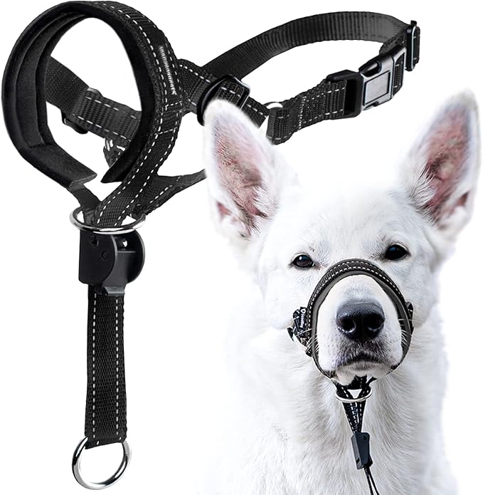 GoodBoy Dog Head Halter with Safety Strap - Stops Heavy Pulling On The Leash - Padded Headcollar for Small Medium and Large Dog Sizes - Head Collar Training Guide Included (Size 4, Black)