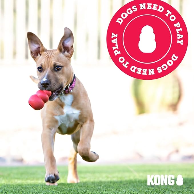 KONG Senior - Dog Toy with Gentle, Natural Rubber - Durable Dog Toy for Older Dogs - Use Treats with Stuffable Chew Toy - Treat Toy for Chewing & Fetching - for Small Dogs