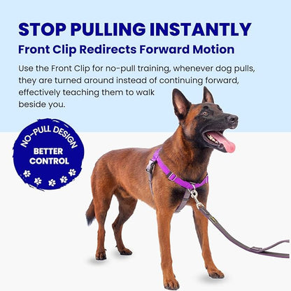 Freedom No Pull Dog Harness for Large Dogs, Easy Walker, Anti Pull with Two Stainless D-Rings, Comfortable, Sewn-in Instructions Tags for Easy Use (Purple, XL)