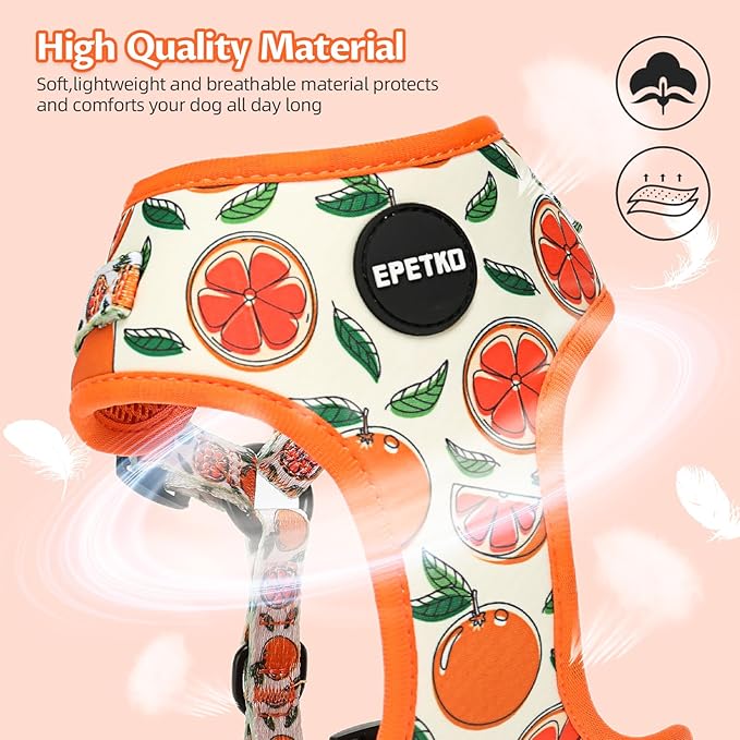 Small Dog Harness and Leash Set of 6, No Pull Soft Lightweight Mesh Puppy Harness， Adjustable Cute Floral Pattern Pet Harness for Small Medium Dogs (Orange, L)