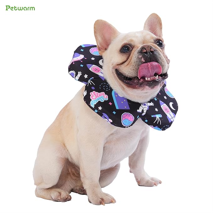 PetWarm Dog Recovery Collar, Recovery Collar for Dogs, Lightweight Soft Flower Design, Comfortable Neck Protector Helps Discourage Licking, Post-Visit Protective Collars, Cosmic Print, Purple, L