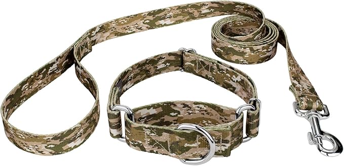 Country Brook Petz - Desert Viper Camo Martingale Dog Collar and Leash - Camouflage Collection Featuring Rugged Designs (1 Inch, Extra Large)