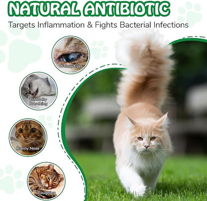 Antibiotics for Cats, Cat Antibiotics for Infections, Supports Immune & Cats Allergy Itch Relief, Health Supplies cat UTI Cat Multivitamin, 60ML