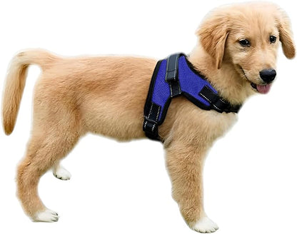 No Pull Reflective Adjustable Dog Harness With Handle- Comfortable Soft All Weather Mesh, Easy On Puppy Harness For Small Medium and Large Dogs (Blue) X-Small