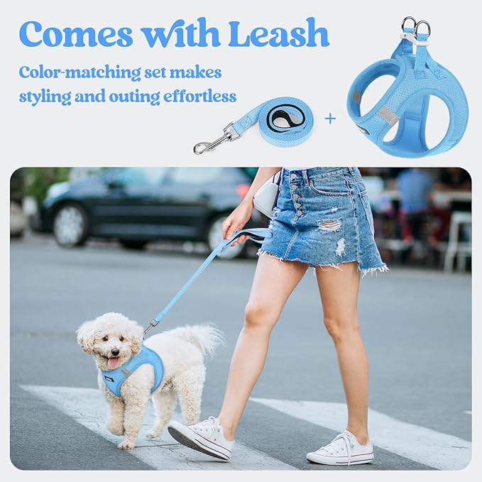 rabbitgoo Dog Harness Small Sized and Leash Set, Step in Soft Light Puppy Vest, Breathable Mesh Pet Harness, Reflective for Safe Easy Walking, Blue XXXS