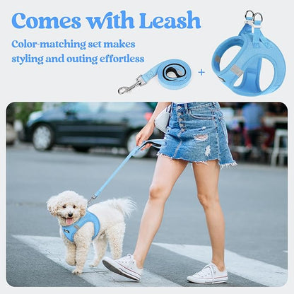 rabbitgoo Dog Harness Medium Sized and Leash Set, Step in Soft Light Puppy Vest, Breathable Mesh Pet Harness, Reflective for Safe Easy Walking, Blue XXL