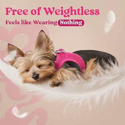 rabbitgoo Small Dog Harness, Step-in Soft Mesh Puppy Vest with Safety Buckle, Breathable Reflective Pet Harness for Extra Small Dogs, Rose Red XXS