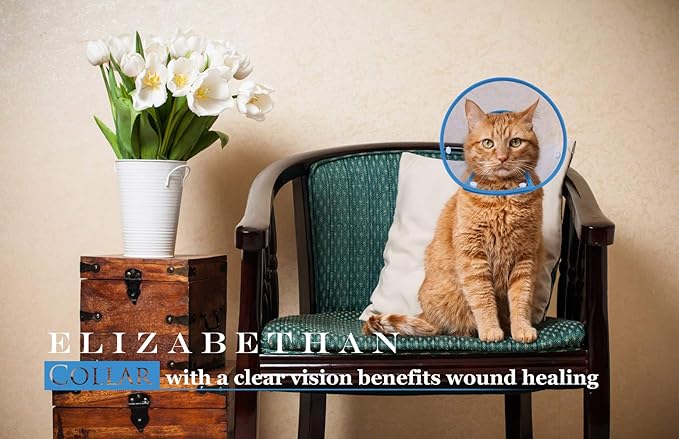 Cat Cone Collar, to Stop Licking, Recovery Elizabethan After Surgery, Clear Soft Neck E-Collar, Not Block Vision, for Kitten Puppy Dog Pet in Surgery Remedy - S in Blue
