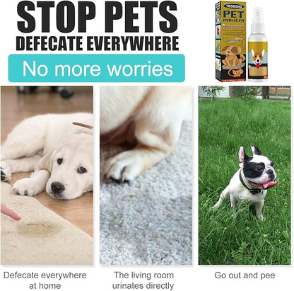 hejhncii Pet Dog Inducer Easy Potty Training Guide Pet to Pee at Fixed Spot Dog Supplies Positioning Defecation Inducer Puppy Training for Pee Pads