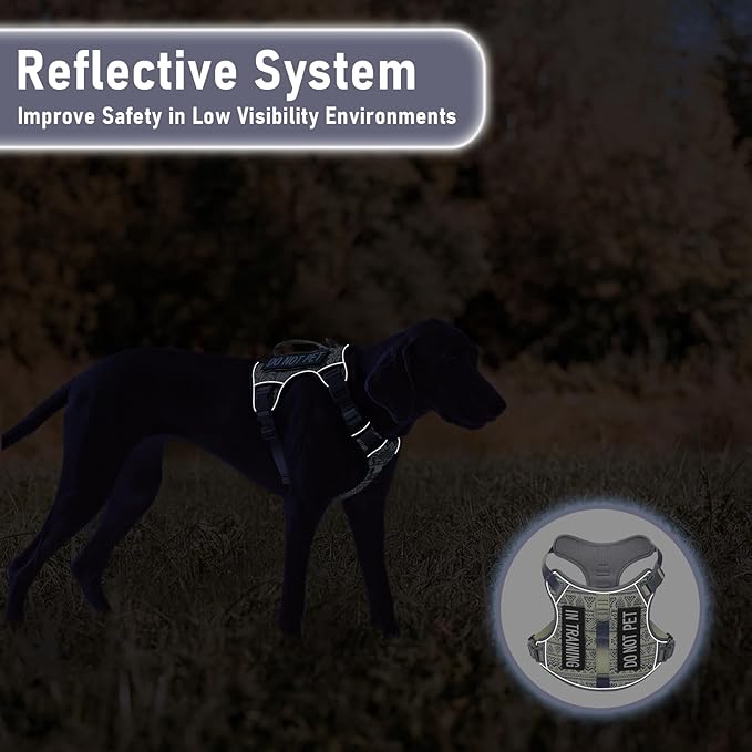 AUNZO Gray Tactical Dog Harness for Large Dog Breeds, No Pull Adjustable Pet Harness with Handle, Reflective K9 Military Service Dog Vest for Walking Hiking Training, Gray Ethnic, XL