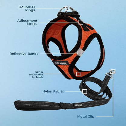 Best Pet Supplies Voyager Step-in Air All Weather Mesh Harness and Reflective Dog 5ft Leash Combo with Neoprene Handle, for Small, Medium and Large Breed Puppies - Set (Orange/Black Trim), X-Large