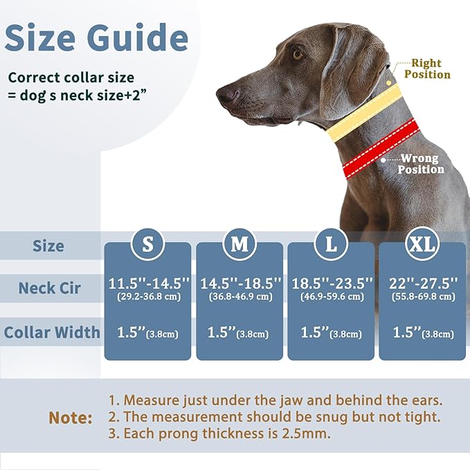 Mayerzon Martingale No Pull Collar for Small Medium Dogs, Patented Anti Pull Dog Collar with Buckle for Walking Training, with Neoprene Padding and Reflective Stitching, Adjustable(Purple Trim, S)