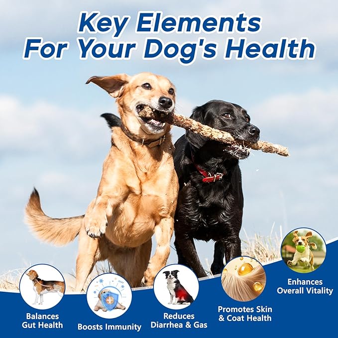 Probiotics for Dogs Dog Probiotic Chews for Yeast Gut Digestive & Immune Health, Itch Relief Ears Skin & Coat with 11Billion CFU Probiotics, 6 Enzymes& 4 Prebiotics, Pumpkin, Omegas & Vitamins,110ct