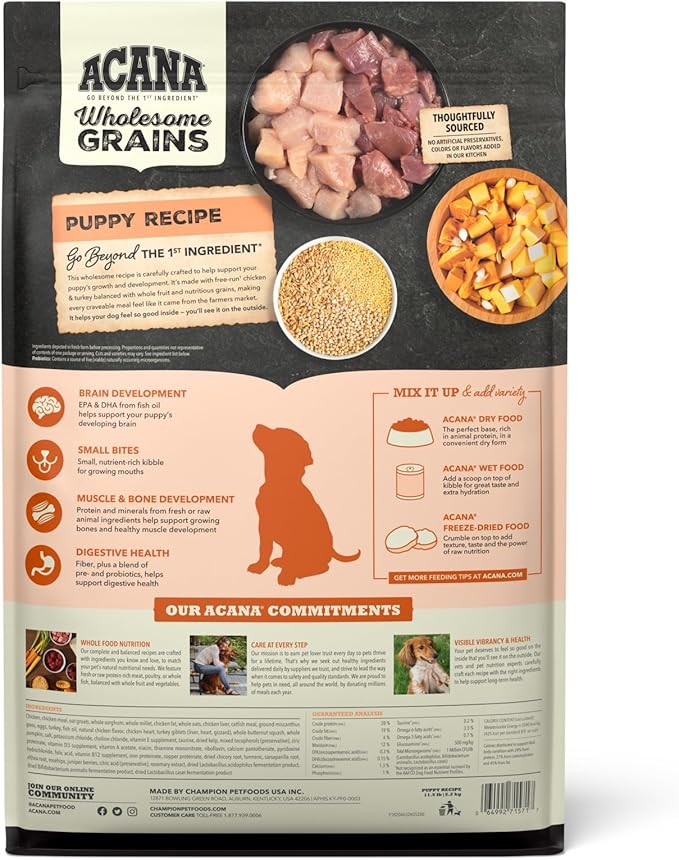 ACANA Wholesome Grains Dry Dog Food Puppy Recipe Real Chicken Eggs and Turkey 11.5lb Bag